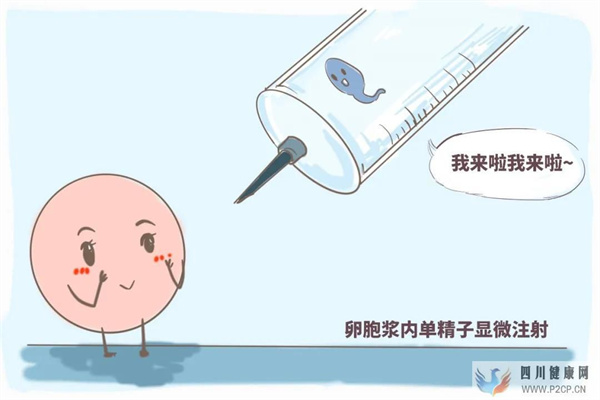 試管真的可以解決懷孕困難嗎??試管五點誤區快看~(圖3) 試管真的可以解決懷孕困難嗎??試管五點誤區快看~(圖3)