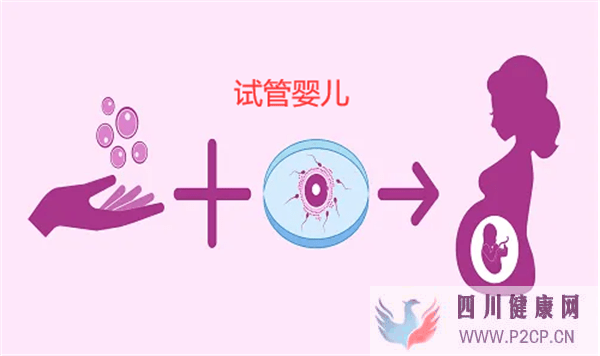 試管不成功，需要注意哪些問題呢(圖1)