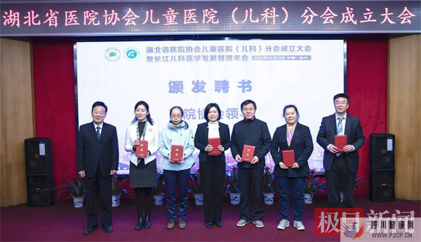 兒科抱團議發展，湖北省醫院協會兒童醫院（兒科）分會成立(圖1)