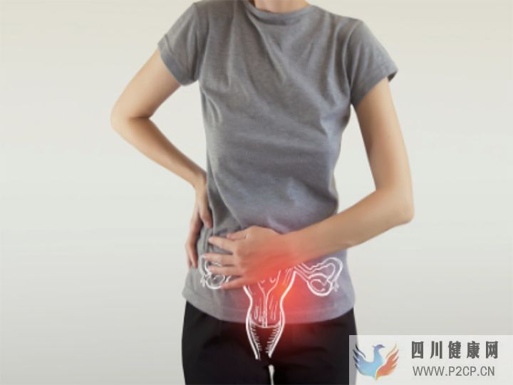 婦科和產科有什么區別(圖1) 婦科和產科有什么區別(圖1)