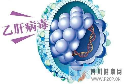 跟著肝病專家池主任快速了解肝病小知識(上)(圖1) 跟著肝病專家池主任快速了解肝病小知識(上)(圖1)