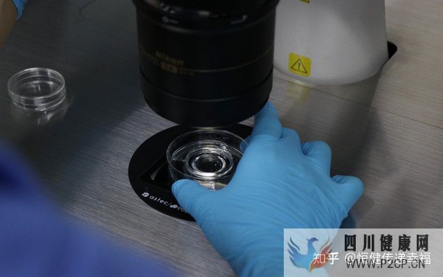 2022三代試管費用大全(圖1)
