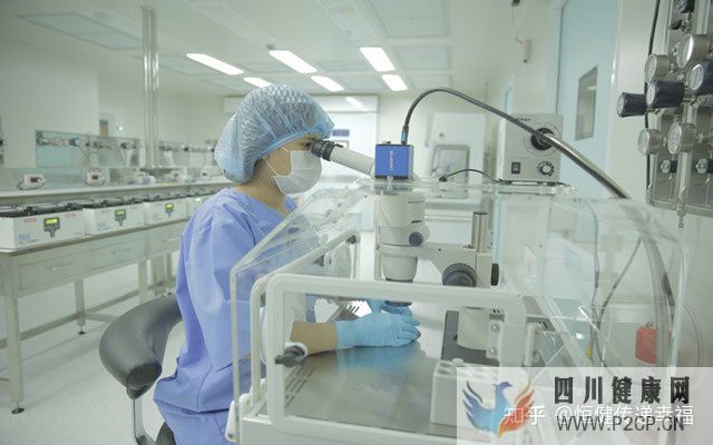 2022做三代試管嬰兒費(fèi)用明細(xì)有哪些(2022年國(guó)家免費(fèi)做試管嬰兒)(圖5)