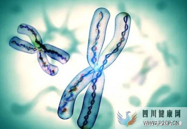 遺傳病能做試管嬰兒嗎(2022年國家免費做試管嬰兒)(圖1)