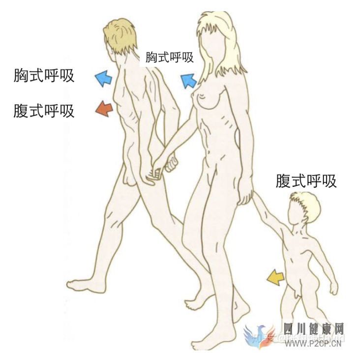 每天呼吸兩萬(wàn)次,卻沒(méi)人懂的正確呼吸方式(圖12)