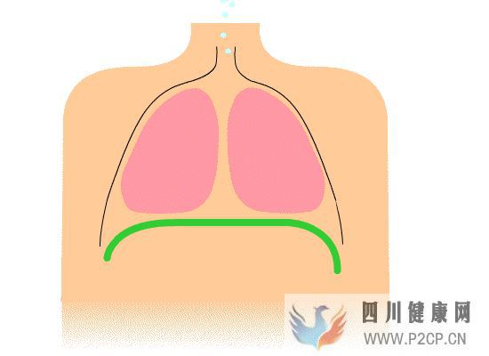 呼吸的時(shí)候,身體里正在發(fā)生什么(圖4)