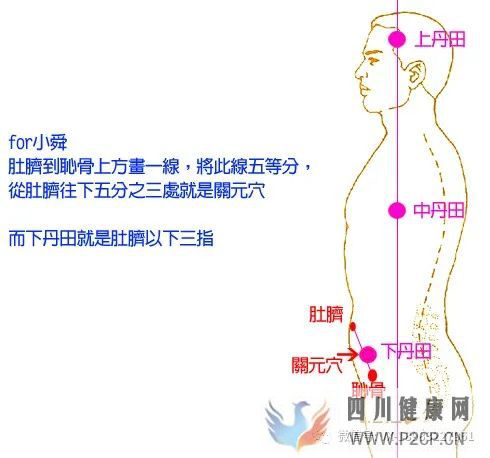 真正的道家吐納呼吸法(圖1) 真正的道家吐納呼吸法(圖1)
