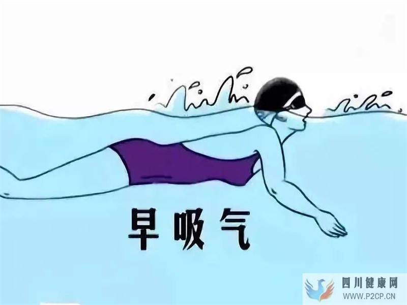 蛙泳的呼吸方式“早呼吸”和“晚呼吸”(圖1)