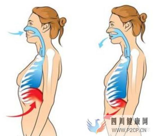 道家呼吸吐納法,呼吸吐納功法初學(xué)入門(圖3) 道家呼吸吐納法,呼吸吐納功法初學(xué)入門(圖3)