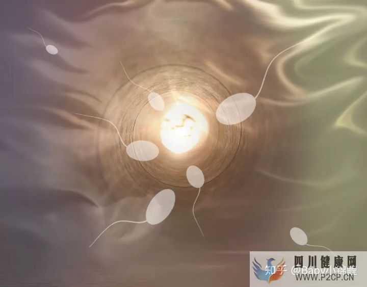 做到這2點,試管嬰兒成功率或?qū)⑻岣?5%至35%!(第二代試管嬰兒成功率有多少)(圖5)