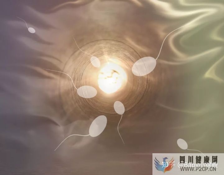 做到這2點,試管嬰兒成功率或?qū)⑻岣?5%至35%!(第二代試管嬰兒成功率有多少)(圖6)