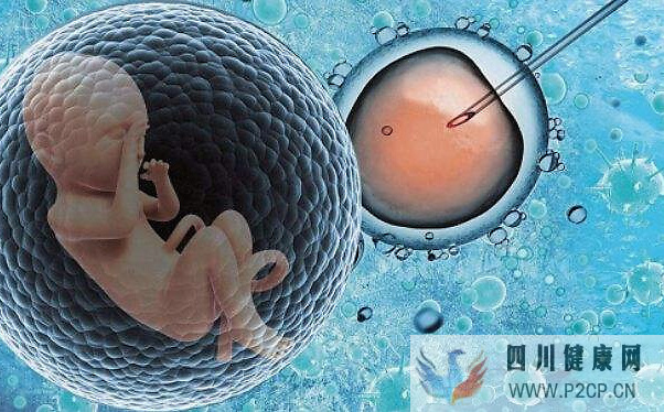 203040歲的女性做試管，成功率有多少？(38歲做試管嬰兒成功率有多少)(圖1)