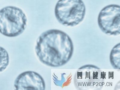 天津優(yōu)貝健康告訴您高齡做試管嬰兒成功概率多少(38歲做試管嬰兒成功率有多少)(圖2)