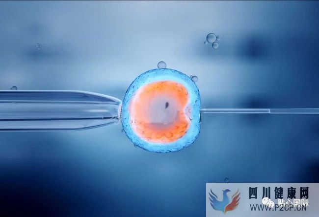 做試管嬰兒，我的成功率是多少？(38歲做試管嬰兒成功率有多少)(圖1)