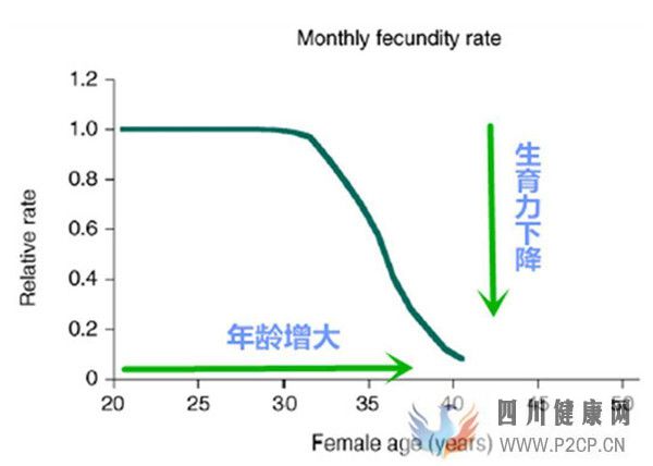 高齡女性對試管嬰兒成功率有哪些影響如何提高女性卵子質(zhì)量(38歲做試管嬰兒成功率有多少)(圖1) 高齡女性對試管嬰兒成功率有哪些影響如何提高女性卵子質(zhì)量(38歲做試管嬰兒成功率有多少)(圖1)