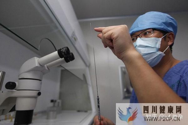 做試管嬰兒的流程——六個步驟(第二代試管嬰兒怎么做的全過程)(圖2) 做試管嬰兒的流程——六個步驟(第二代試管嬰兒怎么做的全過程)(圖2)