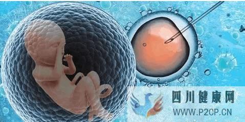 泰國試管嬰兒費用第二代和第三代的相差多少(第二代試管嬰兒怎么做的全過程)(圖2)