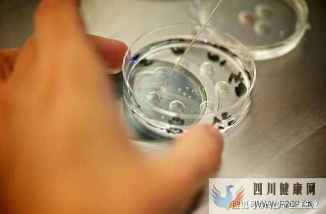 一文讀懂，試管嬰兒的全過程(第二代試管嬰兒怎么做的全過程)(圖1)
