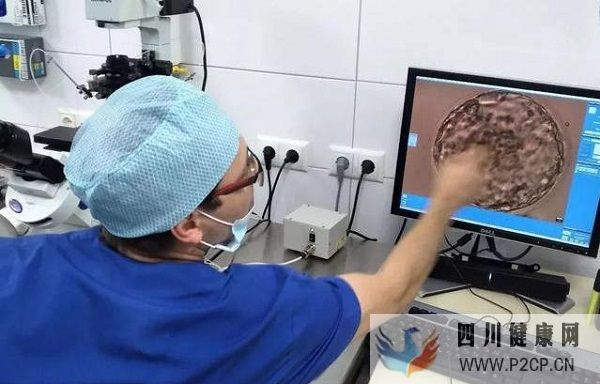 做試管嬰兒需要多長時間(二代試管嬰兒需要多長時間)(圖1)