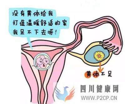 為什么試管嬰兒需要黃體支持，需要支持多長時間呢？(二代試管嬰兒需要多長時間)(圖2)
