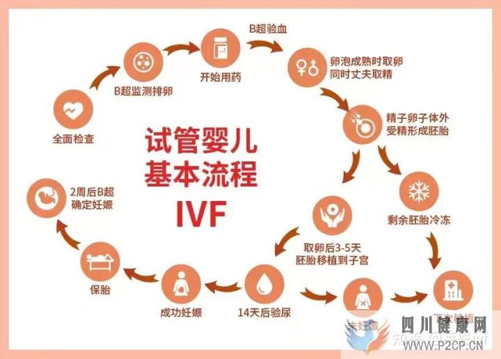 試管嬰兒詳細全流程(兩個女生試管嬰兒怎么做的全過程)(圖1)