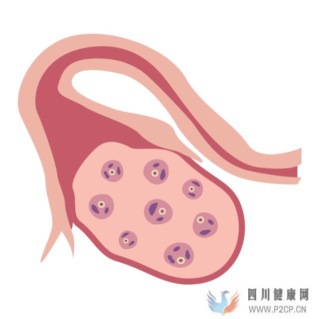 干貨女性取卵全過(guò)程(兩個(gè)女生試管嬰兒怎么做的全過(guò)程)(圖4) 干貨女性取卵全過(guò)程(兩個(gè)女生試管嬰兒怎么做的全過(guò)程)(圖4)