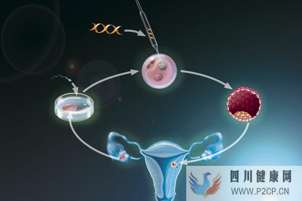 高齡女性做美國試管嬰兒累計周期的目的是什么?(美國做試管嬰兒的全部費用大概是多少)(圖1) 高齡女性做美國試管嬰兒累計周期的目的是什么?(美國做試管嬰兒的全部費用大概是多少)(圖1)