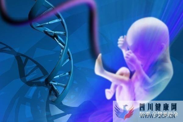 美國第三代試管嬰兒費用是多少,成功率多高(美國做試管嬰兒的全部費用大概是多少)(圖5)