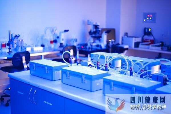 美國第三代試管嬰兒費用是多少,成功率多高(美國做試管嬰兒的全部費用大概是多少)(圖15)