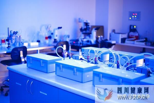 美國第三代試管嬰兒費用是多少,成功率多高(美國做試管嬰兒的全部費用大概是多少)(圖16)