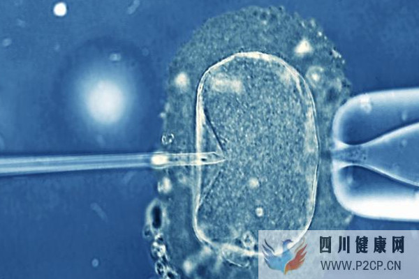 影響美國試管嬰兒的主導因素男性還是女性？(男性試管嬰兒怎么做的全過程)(圖1)