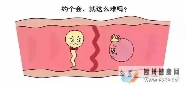 輸卵管堵塞到底是先做手術,還是直接試管嬰兒(女方輸卵管堵塞做試管嬰兒需要多長時間)(圖3) 輸卵管堵塞到底是先做手術,還是直接試管嬰兒(女方輸卵管堵塞做試管嬰兒需要多長時間)(圖3)