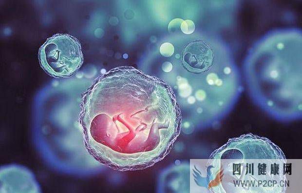 重慶地區供卵試管嬰兒成功率大約是多少？(三代試管嬰兒的費用大約是多少)(圖1)
