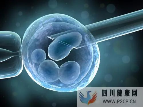 哪些人適合做美國三代試管嬰兒？(三代試管嬰兒總費用)(圖1)