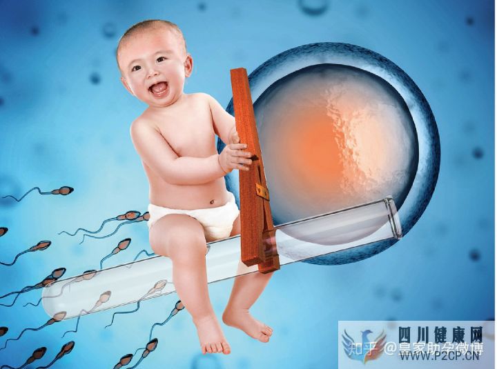 試管嬰兒90%不是自己的這才是事實的真相(試管嬰兒90%不是自己的)(圖2)