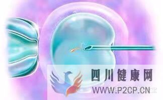 很多人說試管嬰兒可能不會是自己親生的,這是真的...(試管嬰兒90%不是自己的)(圖4)