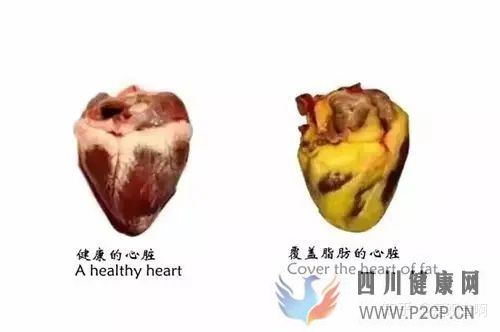 減肥冷知識你所不知道的30條減肥冷知識(圖5) 減肥冷知識你所不知道的30條減肥冷知識(圖5)