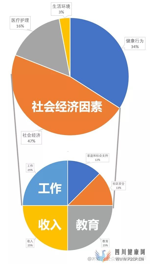 決定健康的3個最重要因素(圖1)