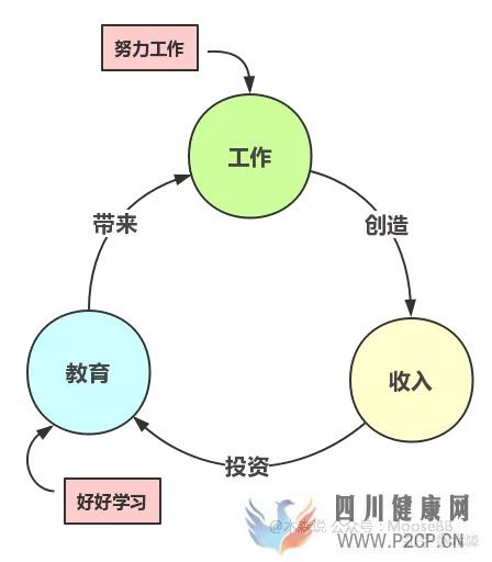 決定健康的3個最重要因素(圖11)