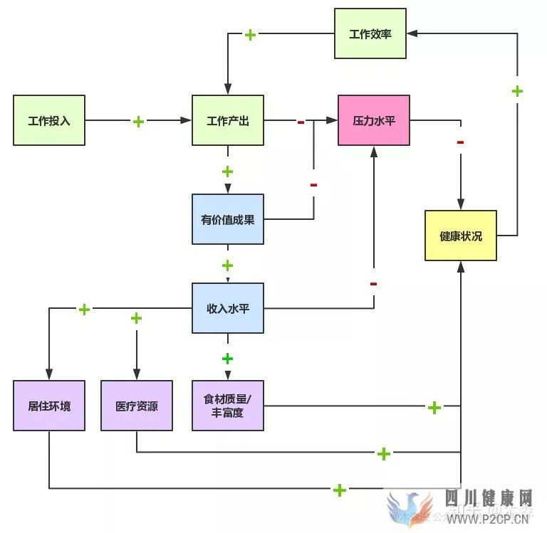 決定健康的3個最重要因素(圖14)