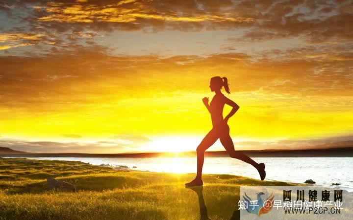 健康第一責任人自己才是健康的主人,請為健康負責(圖15)