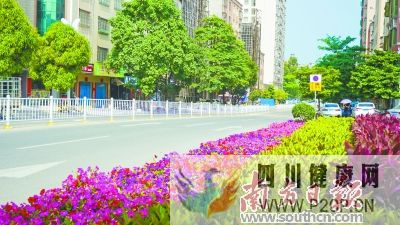城鄉(xiāng)衛(wèi)生大升級幸福跟著健康走(圖1)
