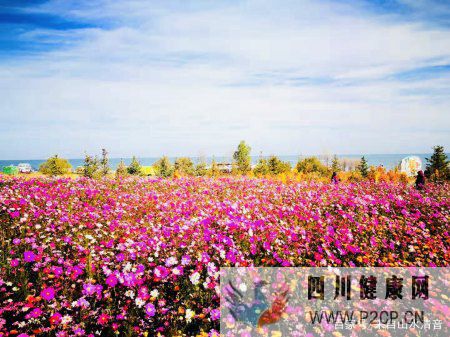 關(guān)愛自己的身體健康,因為沒有健康就沒有一切(圖1)