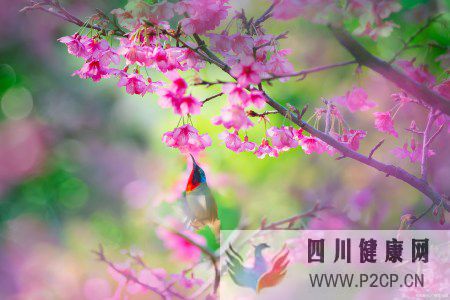 關(guān)愛自己的身體健康,因為沒有健康就沒有一切(圖7)