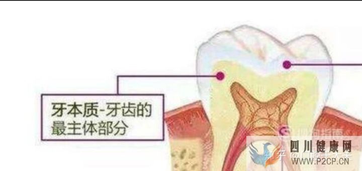 口腔科最基礎的知識科普(圖13) 口腔科最基礎的知識科普(圖13)