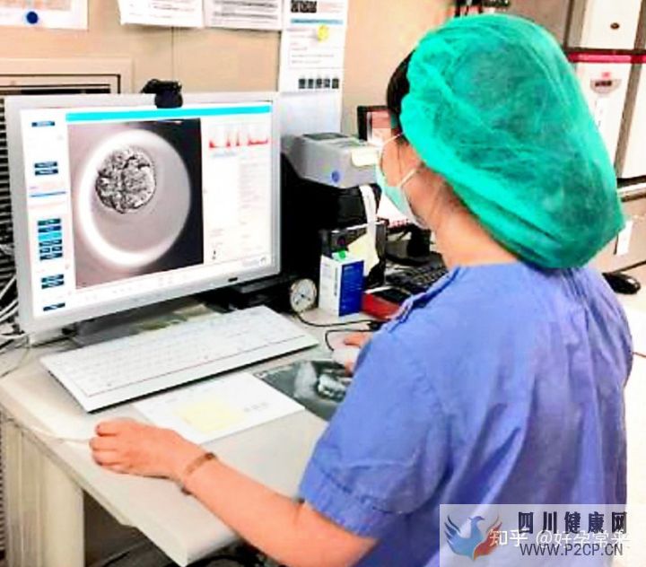 試管嬰兒流程步驟(試管嬰兒步驟過程詳細)(圖1)