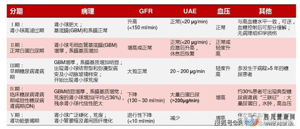 糖尿病腎病重在預防(圖1)