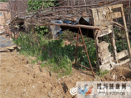 罌粟菜能治糖尿病？大爺好心幫朋友結果“悲劇”了(圖3)