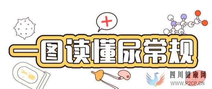 易加醫(yī)帶你漲知識(shí)：尿常規(guī)結(jié)果居然能看出這么多問題！(圖1)