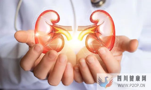 糖尿病腎病的治療方法(圖1)